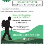Affiche 2017 _ CHAMBARON SUR MORGE