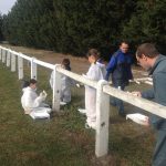 chantier jeunes 2017 (11)