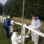 chantier jeunes 2017 (7)