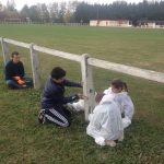 chantier jeunes 2017 (9)