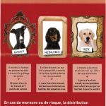 communedelamoutade@orange.fr_20170712_111326