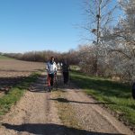 marches douces 2017