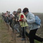 marches douces 2017 (5)