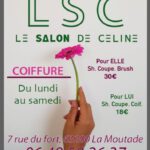 Salon de coiffure LSC carte de visite