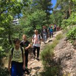 TS jui 2017 (8)