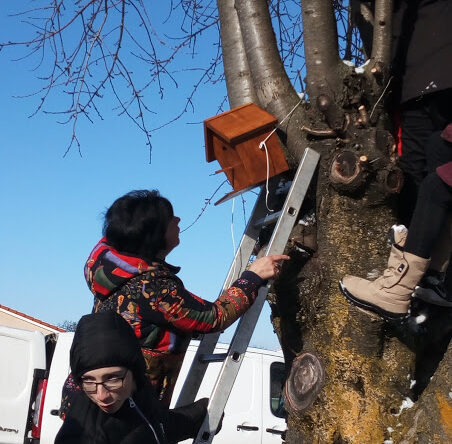 cmj cabane oiseaux 2018 (11)