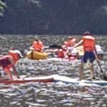 Camp d’été 2018 jour 2 (17)