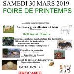 COMICE 2019
