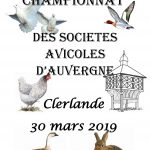 Championnat UnionSAA modifier