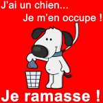 dejections canines