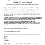 Flyer 2019 Cellule -1