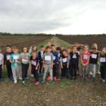 Cross 2019 (3)