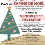Flyer-sapins2020-APE-V31