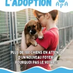 Affiche campagne adoptions APA