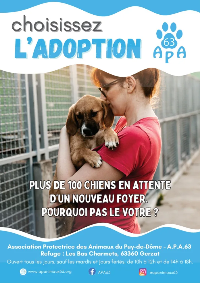 Affiche campagne adoptions APA