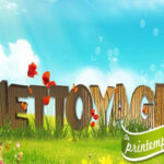 Nettoyage de printemps