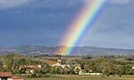 Cellule-arc-en-ciel