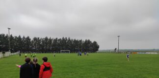 Article TAP 5ème période 2023