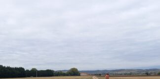 Cross des écoles octobre 2023